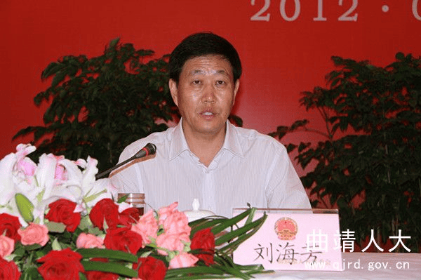 退休9年后，刘海芳主动投案